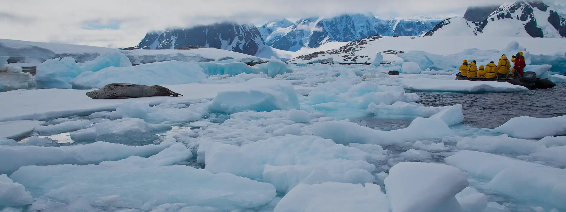 ANTARCTIC-PENINSULAR-CRUISE-DEALS-slider