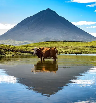 Pico Island Azores cruise with ponant