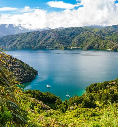 South Island New Zealand cruise Ponant
