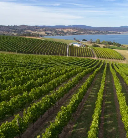 Tasmania cruise with Ponant