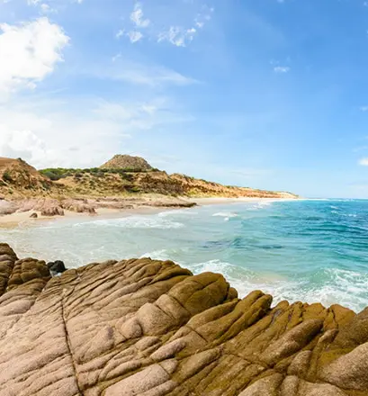 Wildlife encounters Ponant Sea of Cortez Mexico