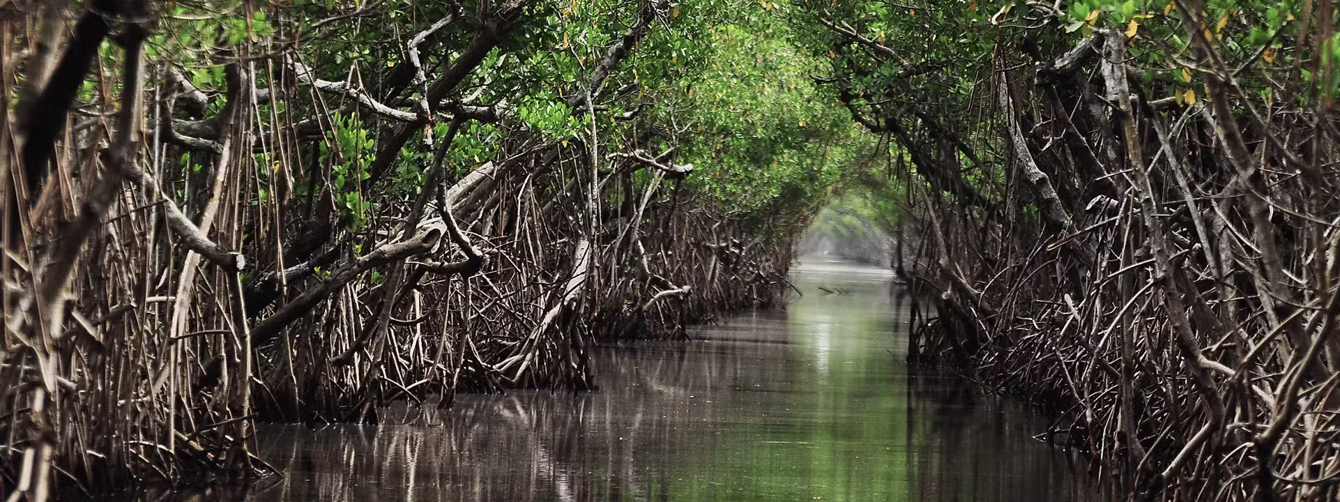 BISSAGOS Ponant Cruises slider